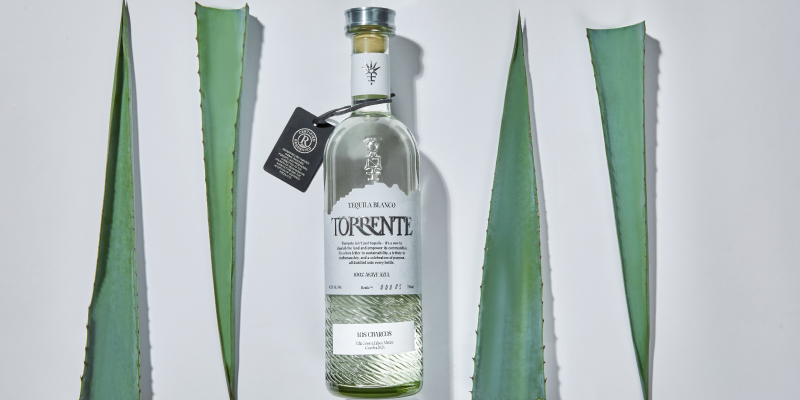 Our expressions_800x400-01